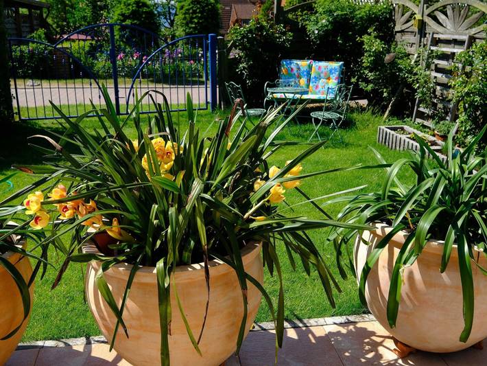 Ferienwohnung für 4 Personen, mit Terrasse und Garten sowie Sauna in Alt Schwerin - 4