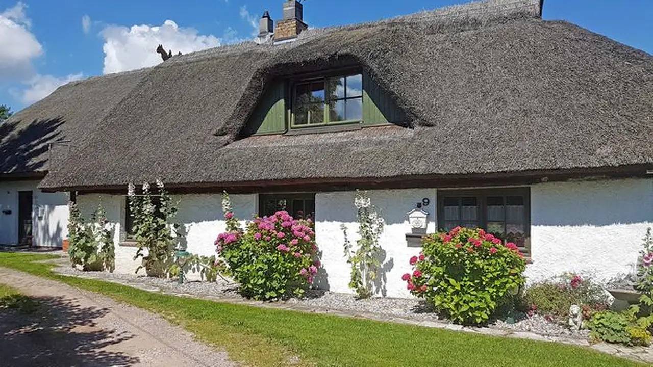 Ganze Ferienwohnung, Ferienwohnung für 3 Personen (50 m²) in Patzig in Patzig, Rügen