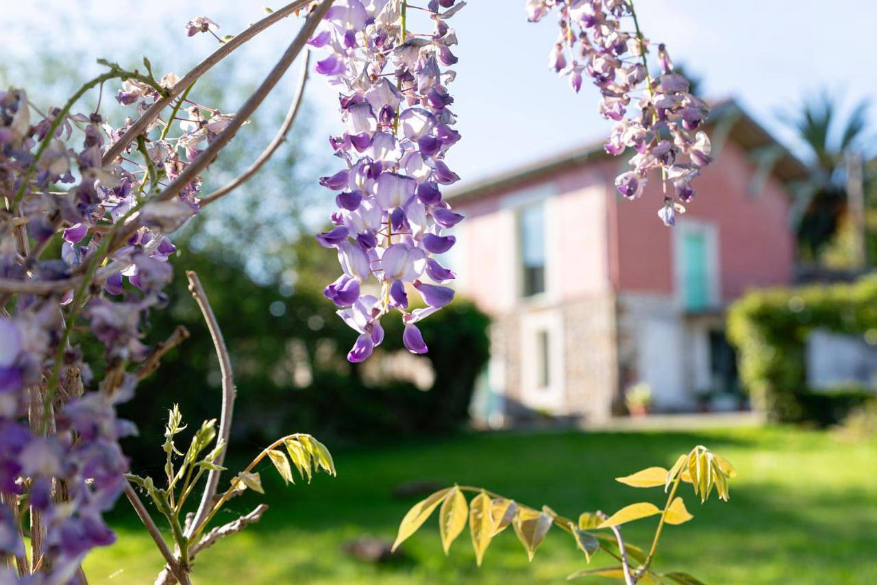 Family Suite in Polanco, Costa de Cantabria