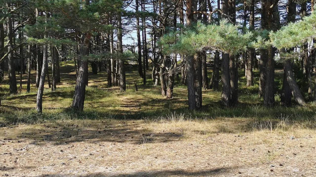 Ferienhaus für 4 Personen (38 m²) in Ellös in Orust