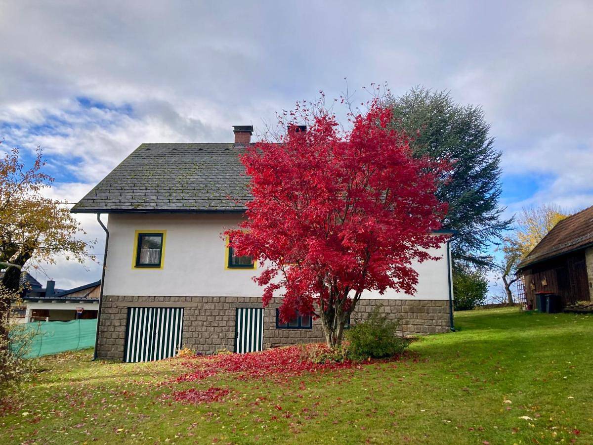Ferienhaus zur alten Zeder in Heidenreichstein, Waldviertel