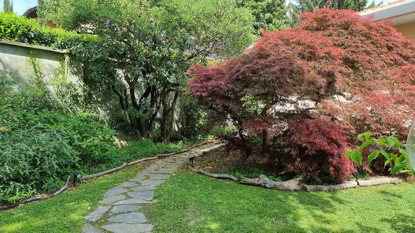 Location de vacances pour 2 personnes, avec jardin dans Ispra - 2