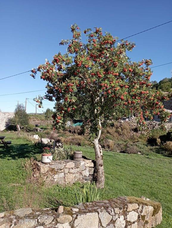 Gîte pour 5 personnes, avec terrasse et jardin à Le Monastier-sur-Gazeille - 2
