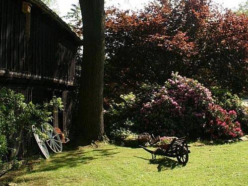 Ferienhaus für 5 Personen, mit Terrasse und Garten sowie Ausblick in Wietzendorf - 2