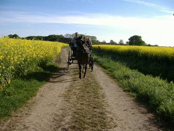 Bauernhof für 2 Personen in Altenberge, Münsterland, Bild 2