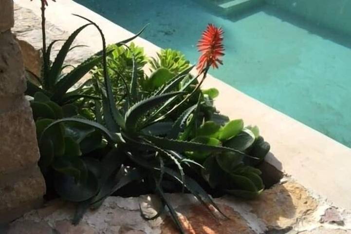 Villa pour 6 personnes, avec balcon et jardin à Cagnes-sur-Mer