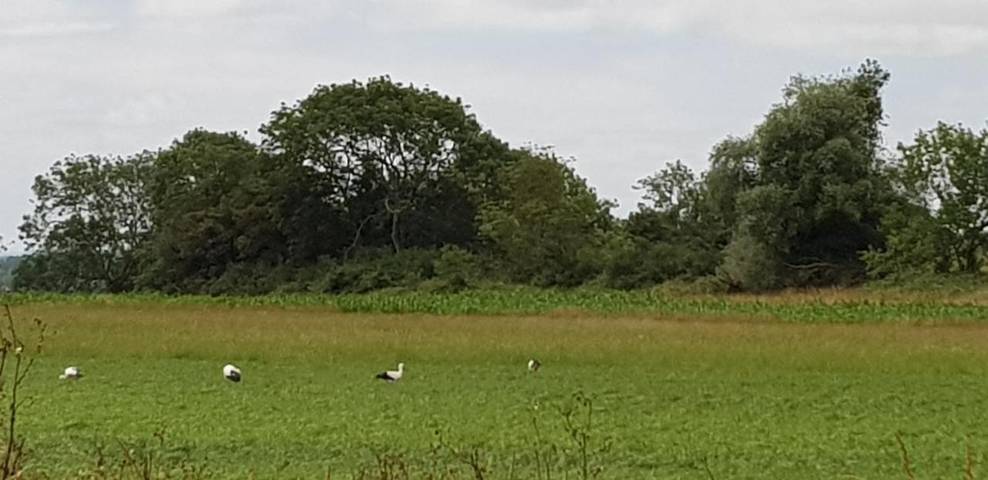 Location de vacances pour 4 personnes, avec vue et terrasse à Nampont - 4