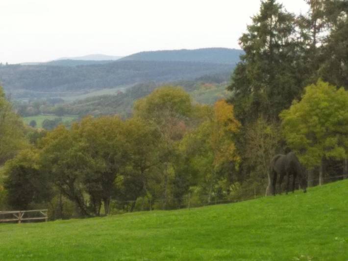 Tente pour 4 personnes, avec piscine et vue ainsi que bassin pour enfant et jardin dans Côte-d'Or - 3