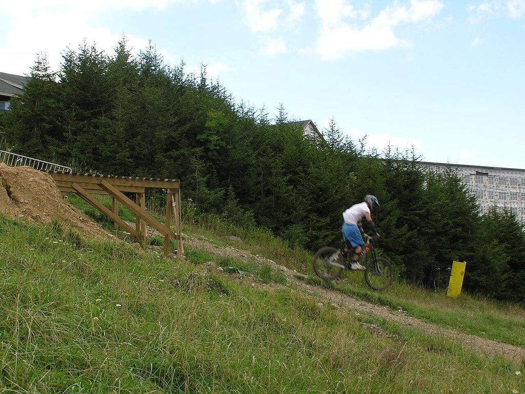 Ganze Wohnung, Rimfire Lodge - Deluxe Studio mit voll ausgestatteter Küche für 4 Personen in Snowshoe, Greenbrier River