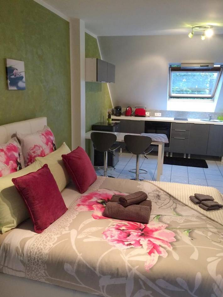 Maison d’hôte pour 2 personnes, avec jardin dans Val-de-Marne - 4