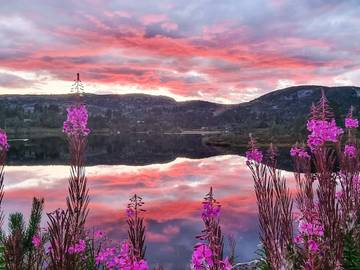 Feriehus til 10 Personer i Bortelid, Åseral, Bilde 4