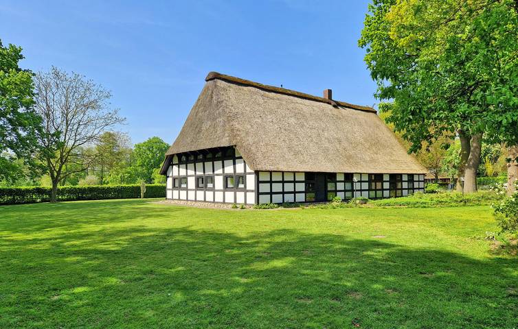 Ferienhaus für 6 Personen, mit Terrasse in Osnabrücker Land - 3