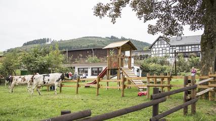 Vacation Rental for 4 Guests in Schmallenberg, Sauerland, Picture 1