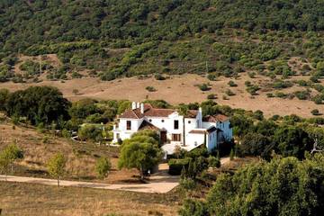 Casa Rural para 12 Personas en Gaucín, Parque natural de Los Alcornocales, Foto 2