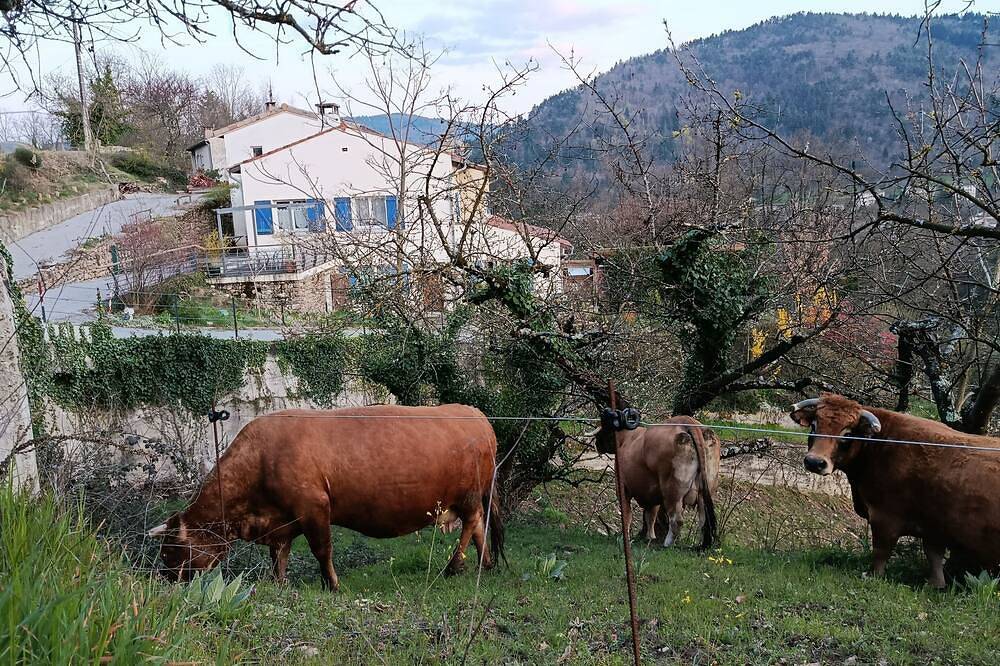 Logement Calme et Spacieux Avec vue à 400 M D'un Plan D'eau in Lamastre, Parc naturel régional des Monts d'Ardèche