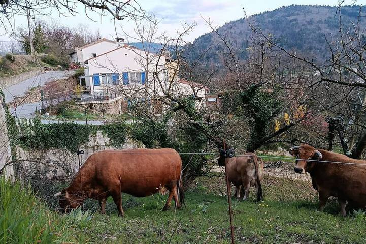 Maison de vacances pour 6 personnes, avec Balcon à Lamastre