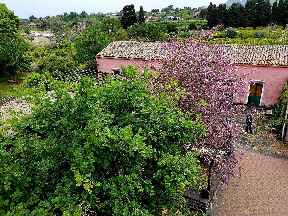 Appartamento intero, Codavolpe giardino di tea in Santa Venerina, Etna