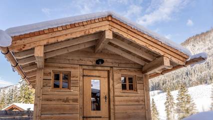 Vakantiehuis voor 8 Personen in Abtenau, Tennengau, Afbeelding 1