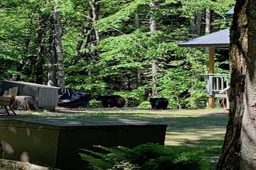 Lake House for 12 Guests in Wilmington (VT), Green Mountain National Forest, Picture 3