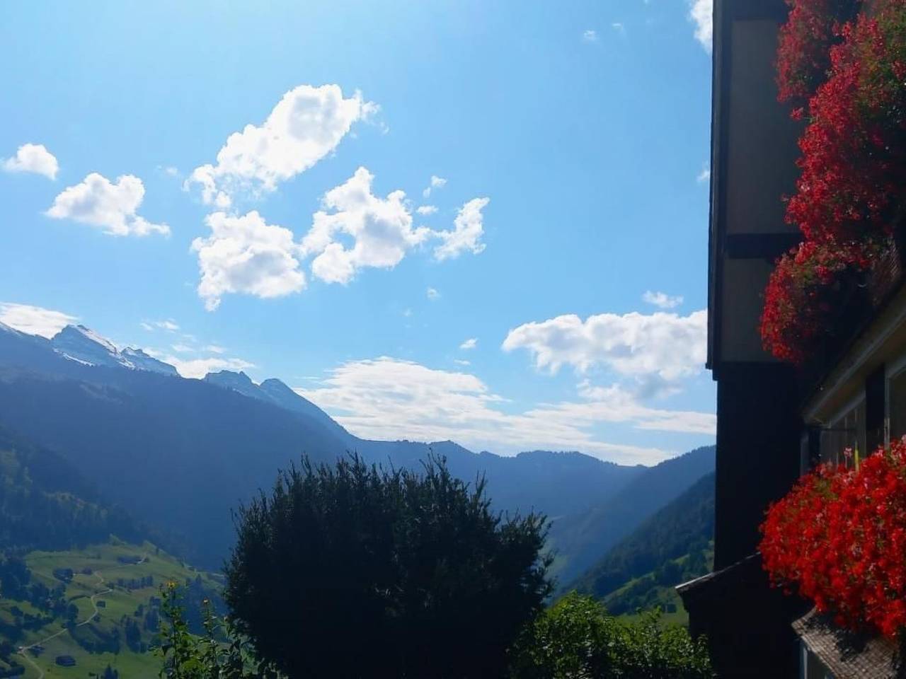 Ganze Wohnung, Haldenhof Schwizer in Wildhaus-Alt St. Johann, Kanton St. Gallen