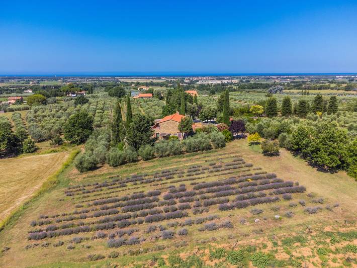 Appartamento intero, Libeccio in Bibbona, Costa degli Etruschi