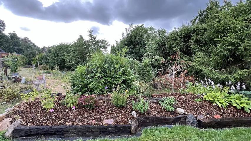 Ferienhaus für 3 Personen, mit Garten in Gifhorn - 4