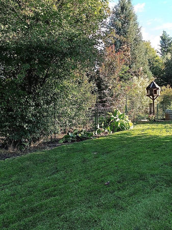 Location de vacances pour 4 personnes, avec jardin et vue dans Resteigne - 4