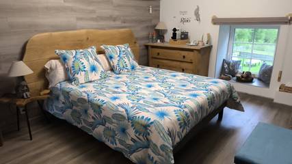 B&b voor 2 Personen in Singles (Frankrijk), Besse-et-Saint-Anastaise en omgeving, Afbeelding 1