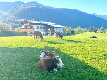 Ferienwohnung für 2 Personen, mit Balkon/Terrasse und Balkon, kinderfreundlich in Schönau am Königssee