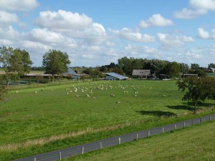 Ferienwohnung für 5 Personen, mit Terrasse und Garten, kinderfreundlich in Friedrichskoog - 3
