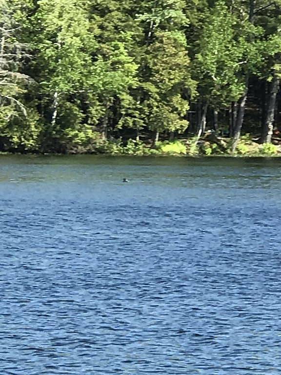 Hütte am privaten familienfreundlichen Teich in Waldo County