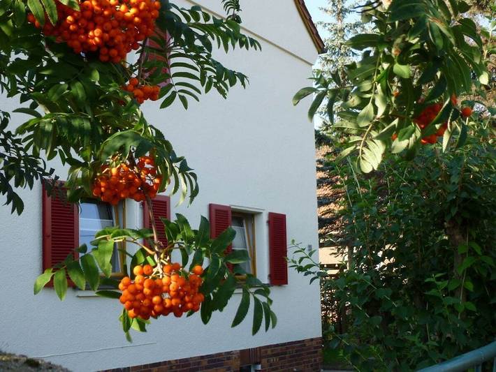 Ferienhaus für 4 Personen in Dresden - 3