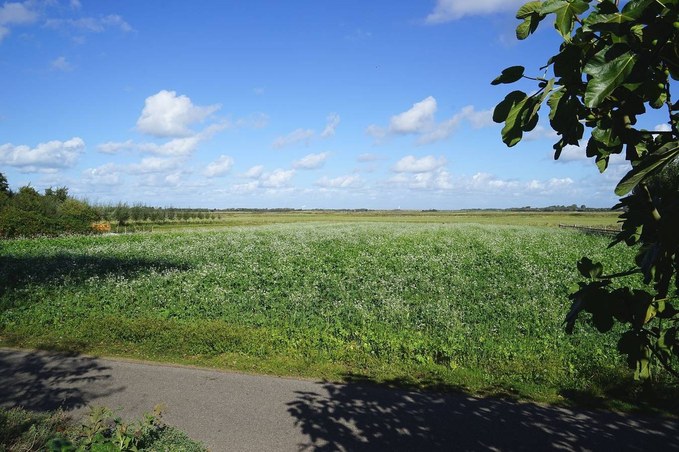 Loevesteijn - Ouddorp in Ouddorp, Goeree-Overflakkee