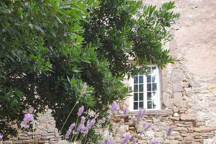 Château pour 14 personnes, avec Jardin dans l' Aude