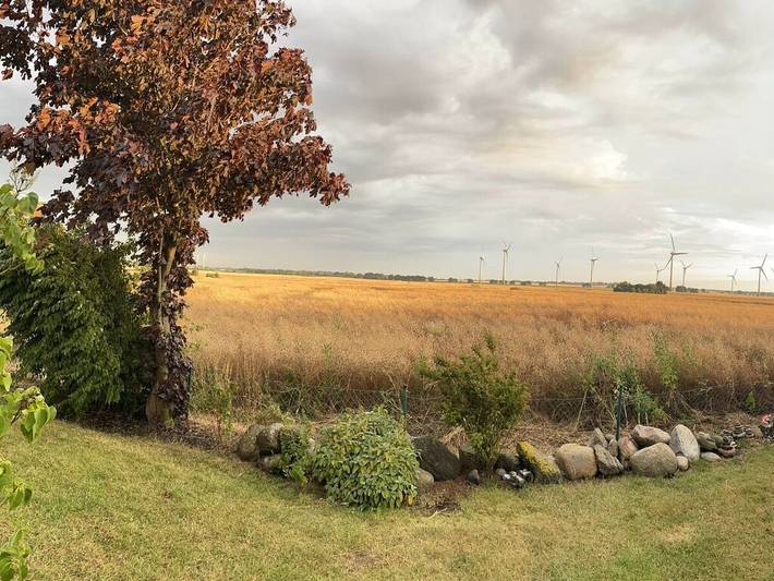 Ferienhaus für 4 Personen, mit Garten und Sauna in Marienleuchte - 3