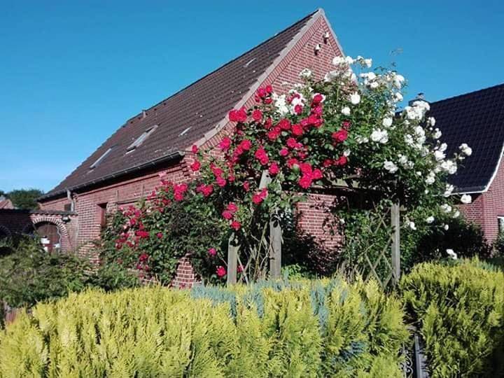 Ganze Wohnung, Ferienwohnung Casa Capurso in Glückstadt, Kreis Steinburg