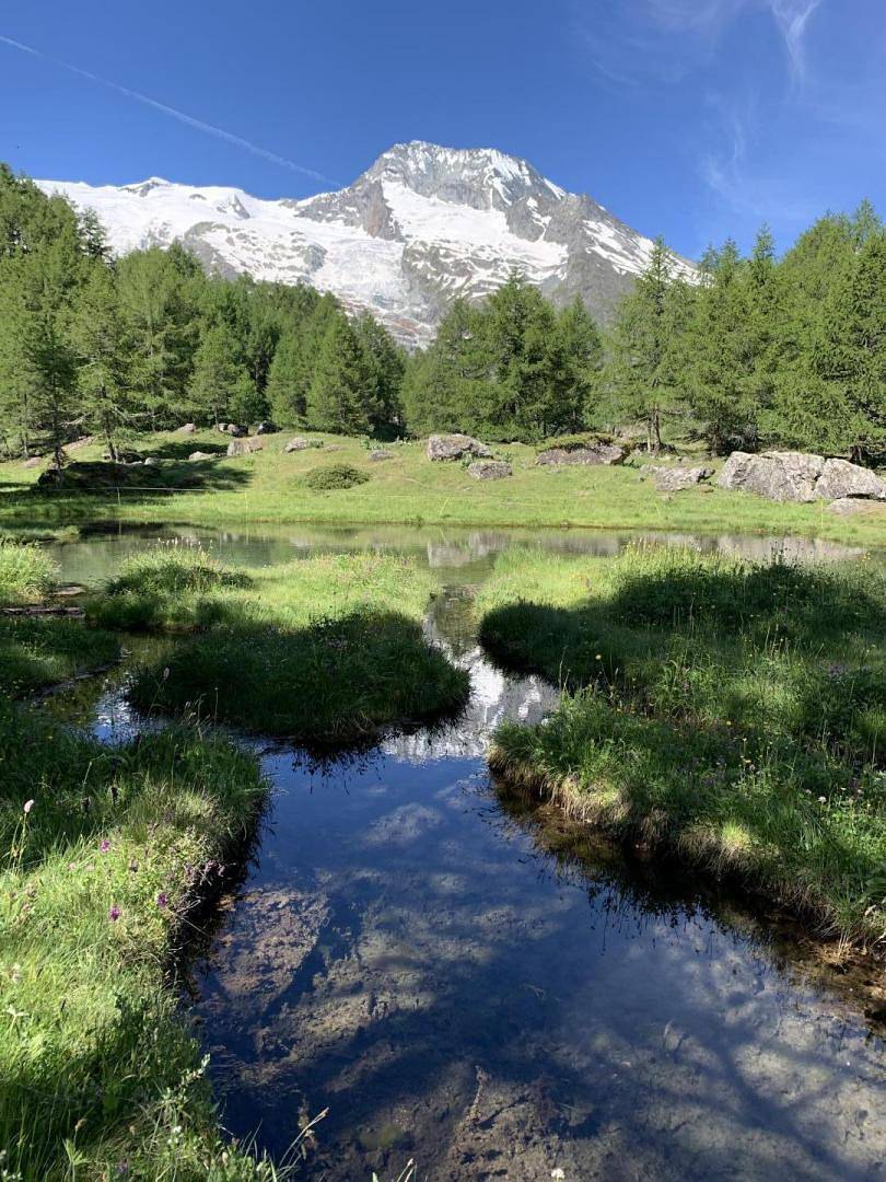 Le Monal in Sainte-Foy-Tarentaise, Macizo del Ruitor