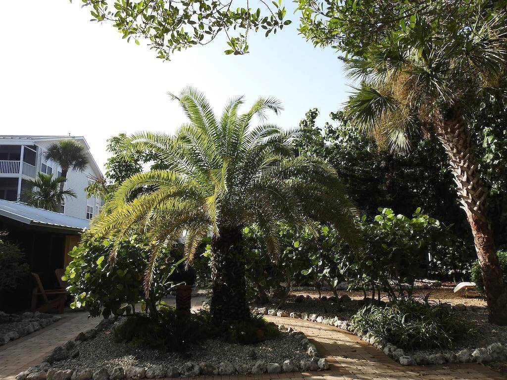 Nur 60 Schritte Zum Privatstrand! Manasota Key Beach Cottage Privathaus! in Manasota Key, Charlotte County