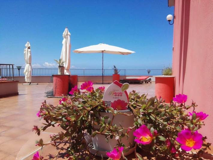 Casa vacanza per 3 persone, con Balcone e Terrazza nonché Giardino e Panorama a San Lucido