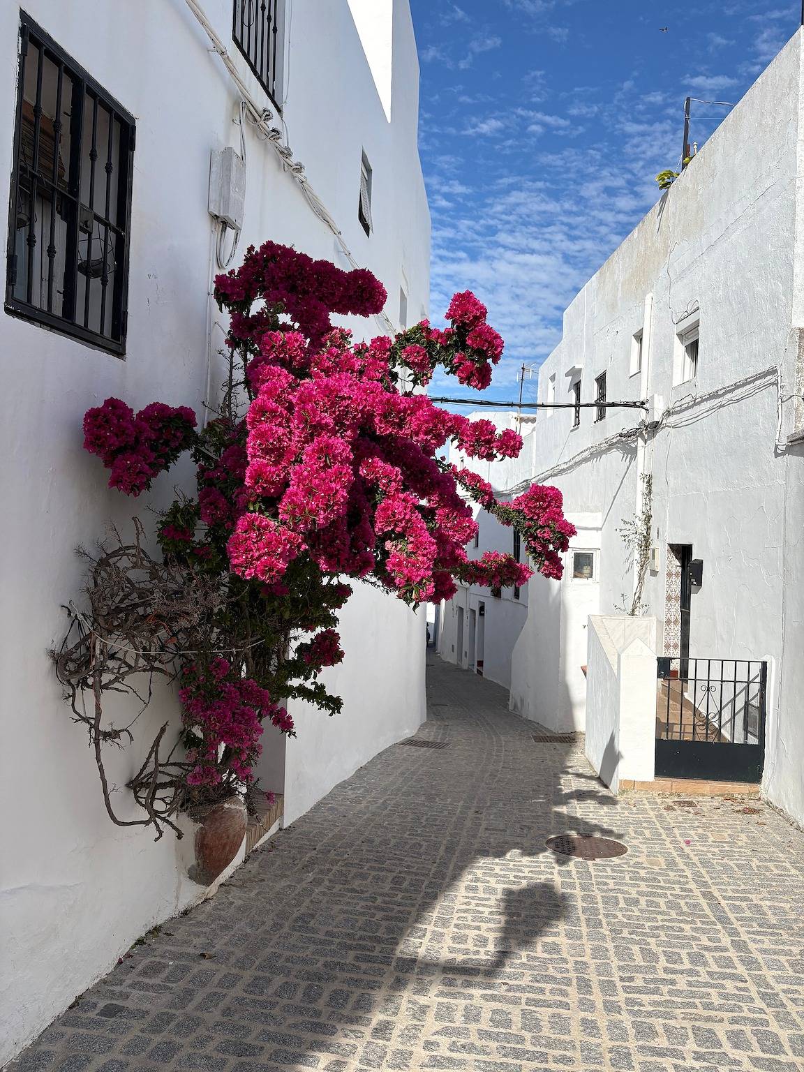 Gemütliches Casa Bagus mit spektakulärem Meerblick in Vejer de la Frontera, Costa de la Luz