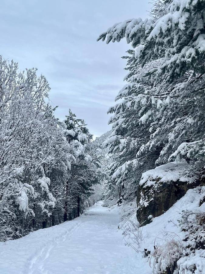Gîte pour 4 personnes, avec balcon et vue dans Betren - 4