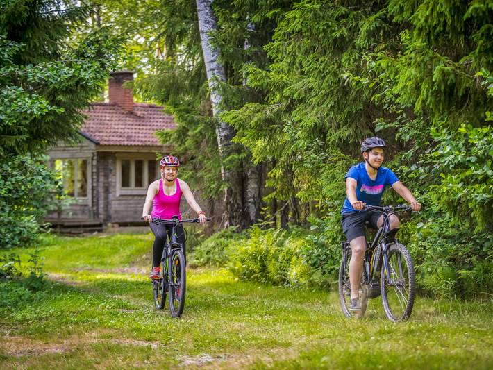 Vesan villa in Sysmä, Päijät-Häme