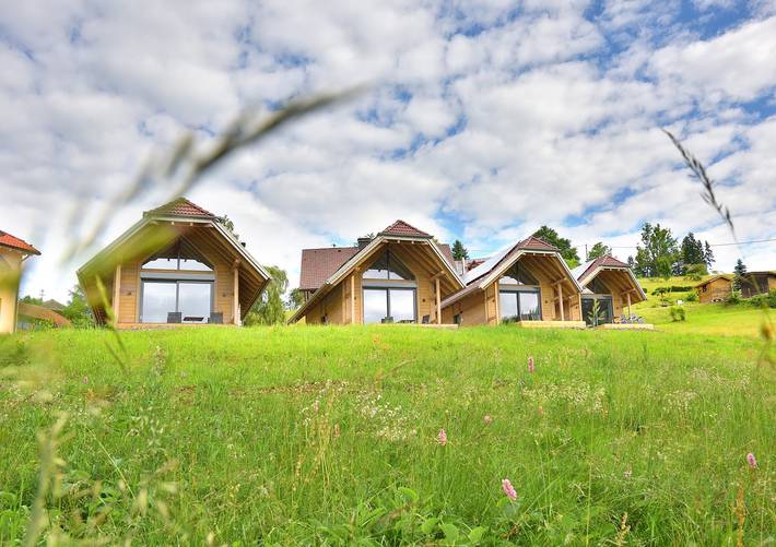 Ferienhaus für 4 Personen, mit Balkon/Terrasse und Terrasse sowie Garten und Sauna in Todtmoos