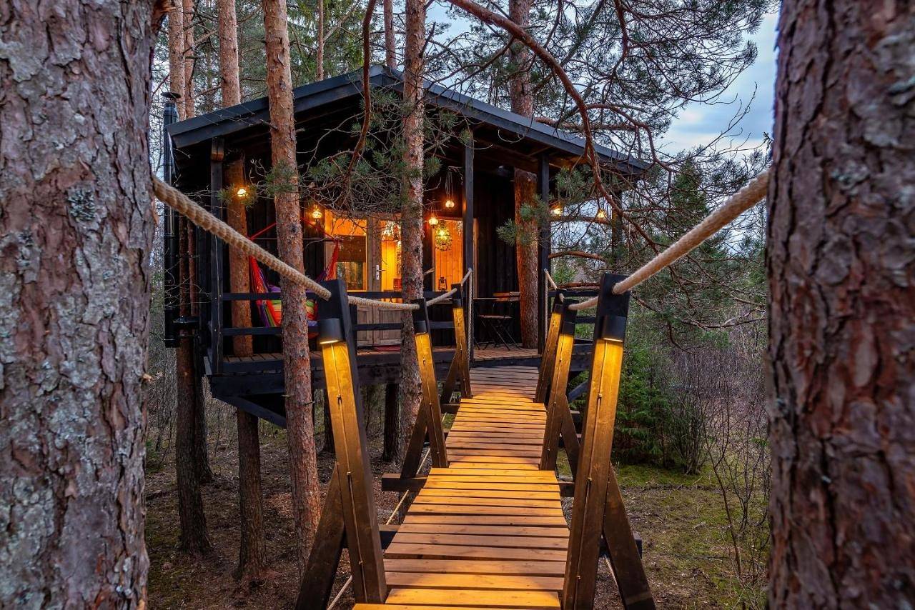 Sambliku Treehouse in Harjumaa