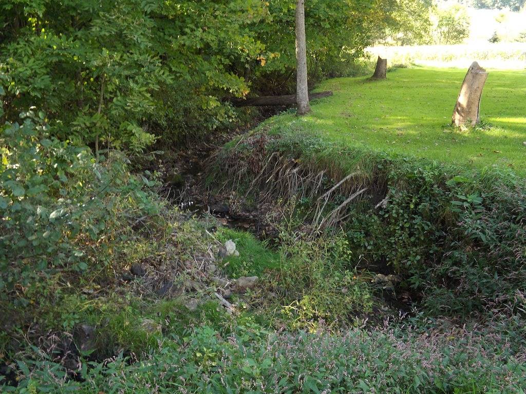 Driftless Area Country House: large deck, spring fed creek, Amish area in Monroe County (WI)