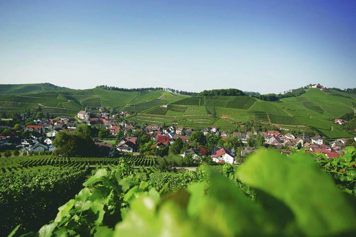 Hôtel pour 2 personnes, avec piscine et jacuzzi ainsi que sauna et terrasse, adapté aux familles à Durbach - 4