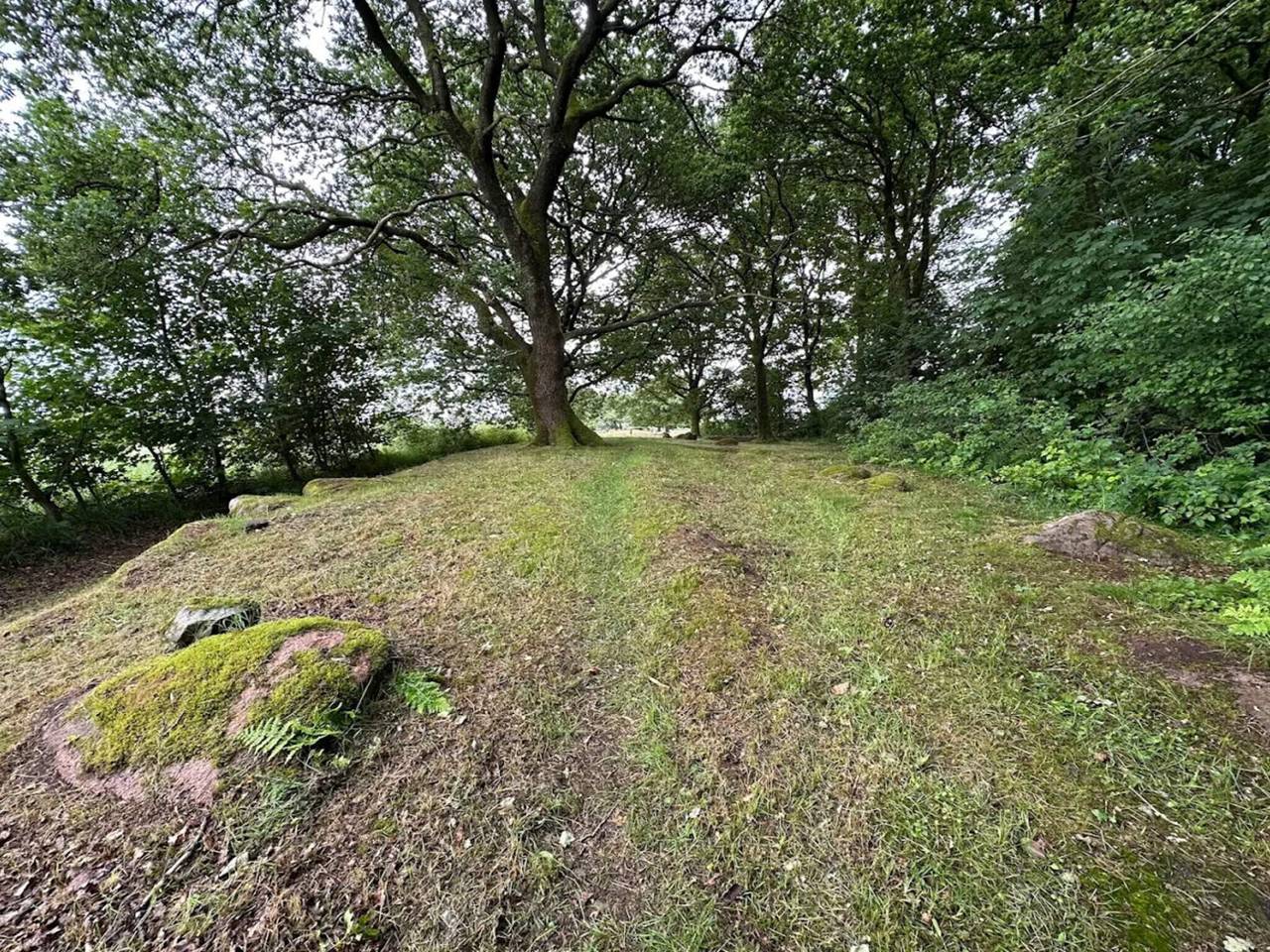4 Personen Ferienhaus in Hovborg in Hovborg, Vejen