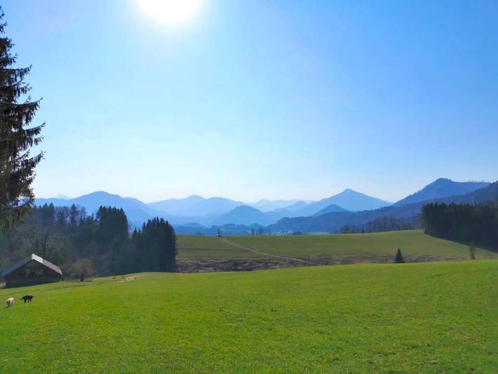 Chalet für 6 Personen, mit Whirlpool und Sauna sowie Garten im Salzkammergut - 3