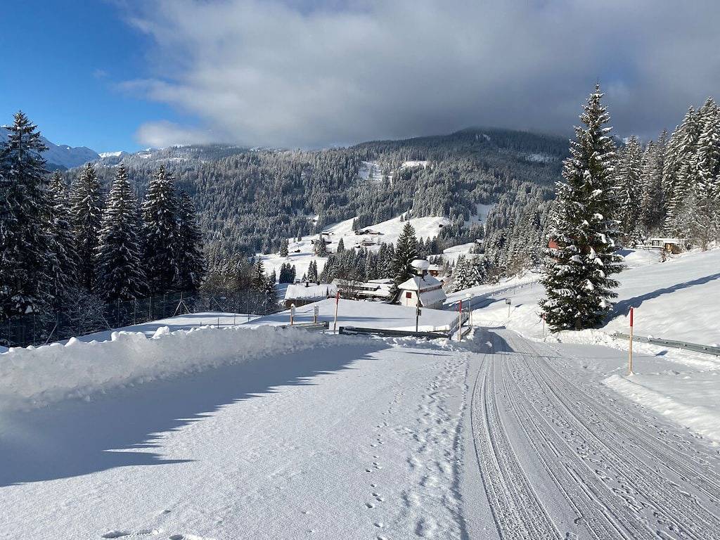 Ferienwohnung mit 0 Schlafzimmer in Riezlern, Mittelberg