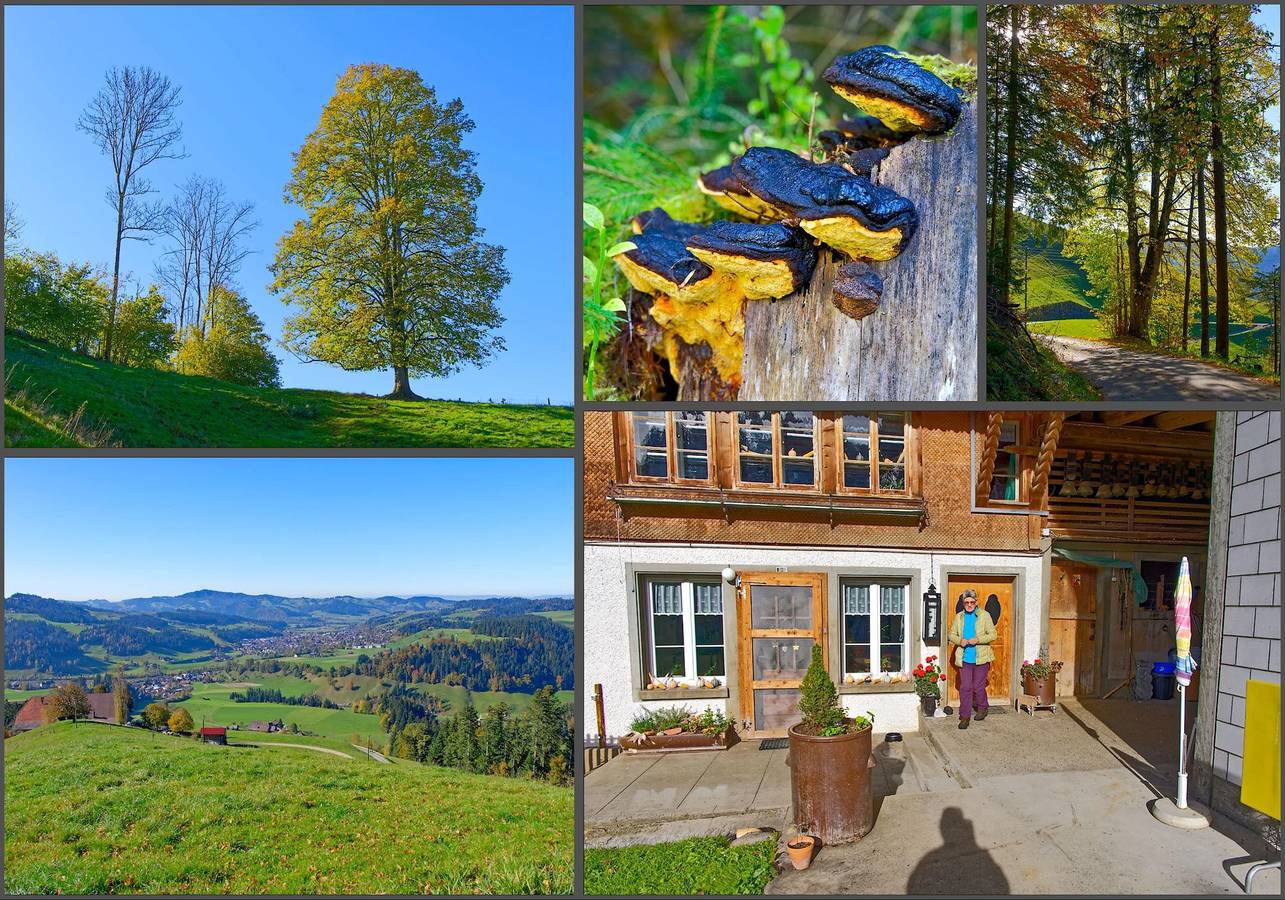 Ganze Ferienwohnung, Emmental Ferien - Urlaub im Herzen der Schweiz in Langnau im Emmental, Kanton Bern